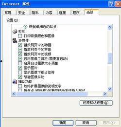 电脑不能播放视频,电脑无法播放视频的常见原因及解决方案