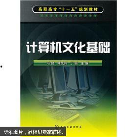 计算机文化基础视频