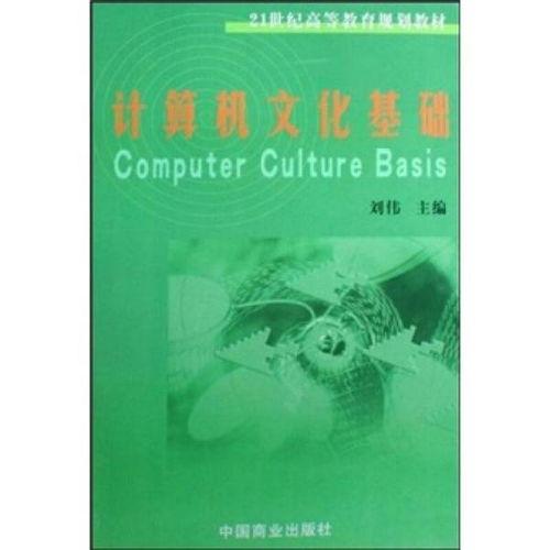 计算机文化基础视频