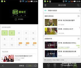 爱奇艺下载的视频在哪个文件夹,爱奇艺下载视频所在文件夹概述