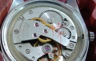 机械表原理视频,一场时间的精密演绎