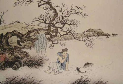 别老母视频,揭秘养老新趋势，关爱长辈的温馨故事