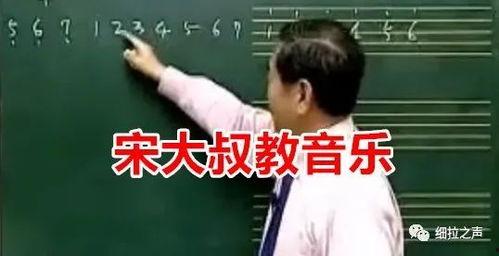 宋大叔教音乐全集视频